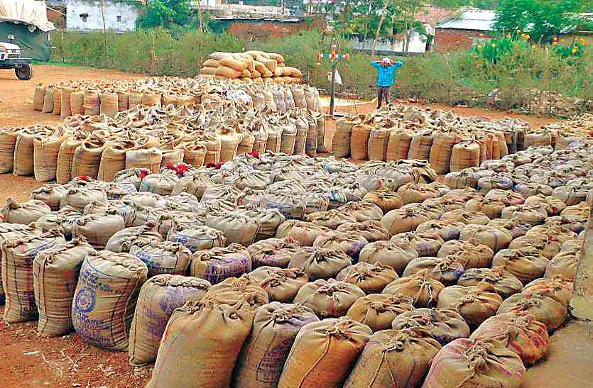 Paddy scam Paddy worth Rs 90 crore missing Haryana mills