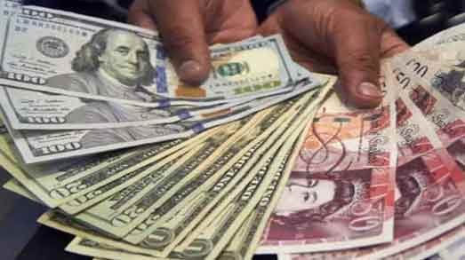 Foreign exchange reserves reached record level for 15th week
