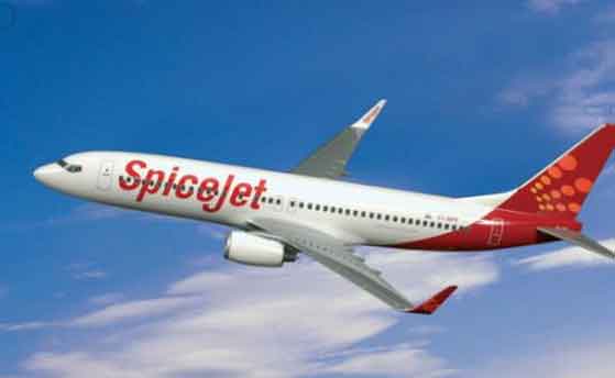 Spicejet profits