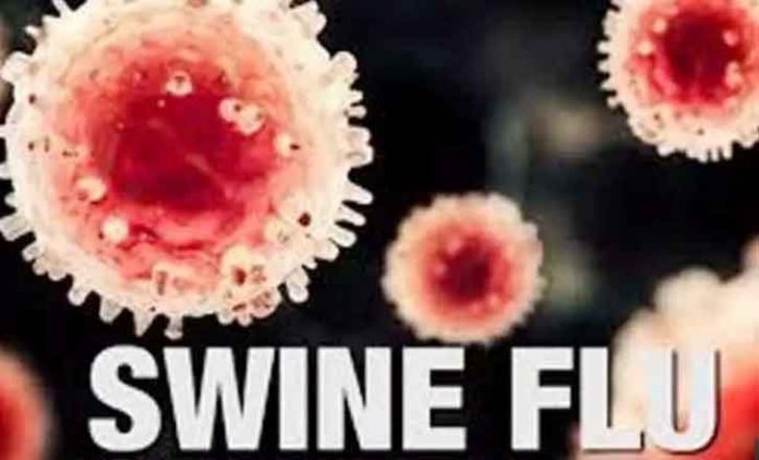 Swine Flu