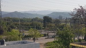 Coronavirus Public Curfew