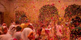 Holi with Flowers