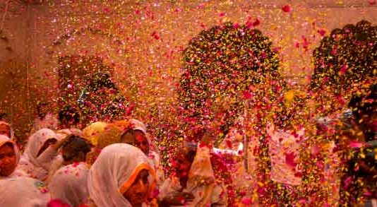 Holi with Flowers