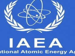 Director General of IAEA