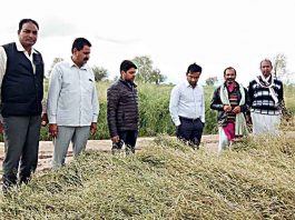 Inspection: ओलावृष्टि से प्रभावित फसलों का किया निरीक्षण (Inspection)