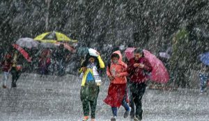 Rain-