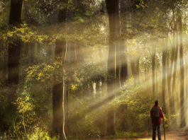 Search of the light amidst life-crises