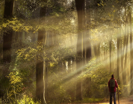 Search of the light amidst life-crises