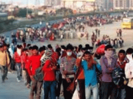 Strict action to be taken for the protection of life