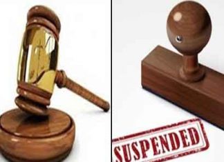 suspended: बीड़ छुछकवास गांव की सरपंच निलंबित Suspended