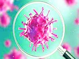 आरोप लगाने के बजाये महामारी पर ध्यान दे अमेरिका : चीन corona