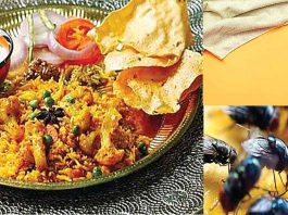 छोटी-छोटी मक्खियों को किचन से कैसे रखें दूर? kitchen Care