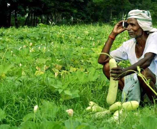 Agriculture News