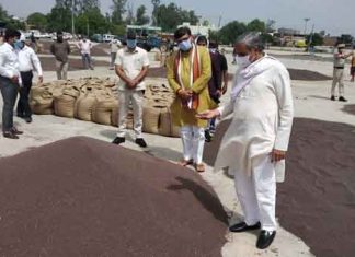 किसान फसल का एक-दो फीसदी हिस्सा दान करें : कृषि मंत्री (Agriculture Minister JP Dalal )