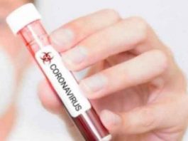 अजमेर में 11 तथा नागौर में बीस नये संक्रमित मरीज Corona