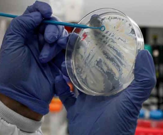 Do not adopt double standards