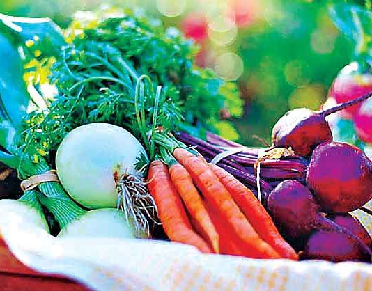 Eat Fresh Vegetables