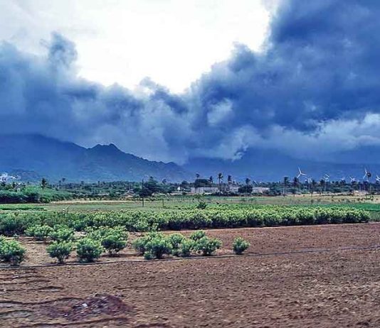 Good monsoon news in Corona disaster