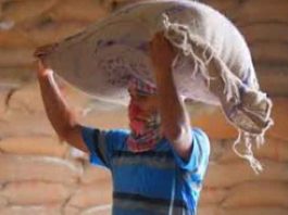 Instructions-to-start-activ