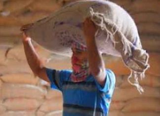 हरियाणा में लोगों के जीवन रक्षण हेतु 20 अप्रैल से गतिविधियां शुरू करने के निर्देश Instructions-to-start-activ