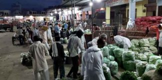 Jhajjar Vegetable Market
