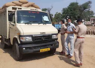राजस्थान की सरसों को सरकारी रेट पर बेचने का प्रयास, दो गाड़िय़ां जब्त Mustard