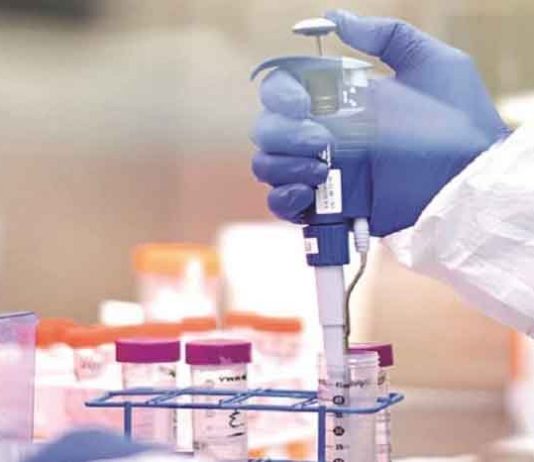 हरियाणा में कोरोना संक्रमण के सात नये मामलों के साथ कुल संख्या 221 पर पहुंची Measles Disease