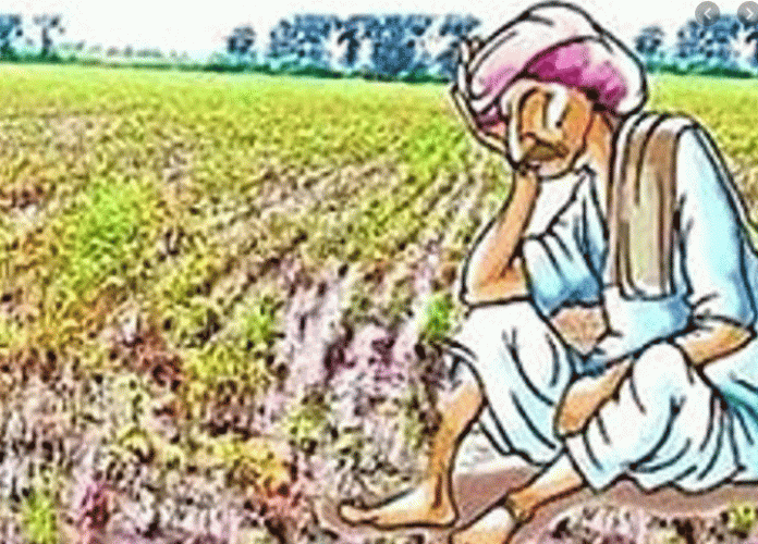 Double hit on farmers crop money not even received, loss of interest of 50 lakhs suffered daily