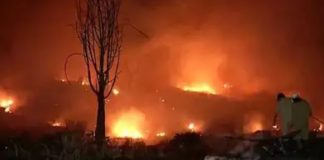 Fire in California Forest