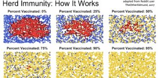 Herd Immunity