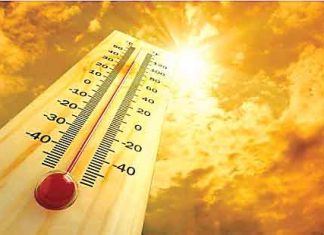 Hot Winds, Summer Session