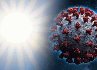 How much heat effect on corona infection