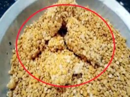 केन्द्र ने हरियाणा में गरीबों के लिए भेजी फंगस लगी दाल Ration pulses distributed