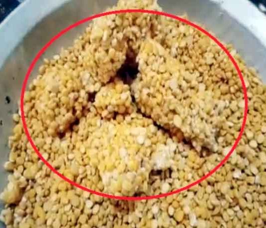 Ration pulses distributed