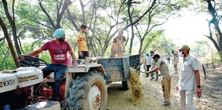 Welfare Work