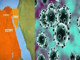 1652 new cases of corona in Egypt 62755 infected