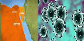 1652 new cases of corona in Egypt 62755 infected