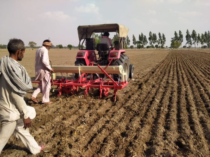 95 percent paddy cultivation is done in village Lohgarh