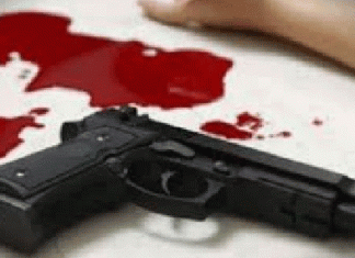 ASI fired from service revolver, death