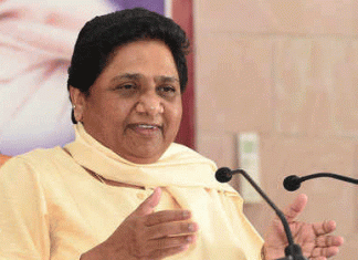 BSP gets a big shock in Haryana