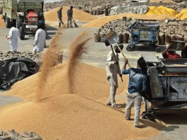 Purchase of Food Grains