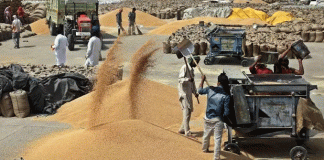 Purchase of Food Grains