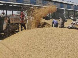 अब हर बार कूपन सिस्टम से ही फसल खरीदेगी सरकार