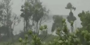 Cyclone Nisarga