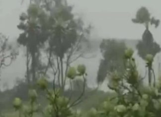 चक्रवाती तूफान निवार का पुड्डुचेरी में कहर Cyclone Nisarga