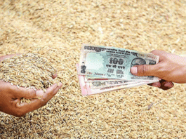 अब नहीं चलेगी आढ़तियों की दादागिरी, सीधे किसानों के खातों में जाएगा पैसा Now the audacity of the jobbers will not work, the money will go directly into the accounts of the farmers