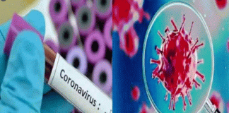 Number of corona infected in the country crosses five and a half lakh