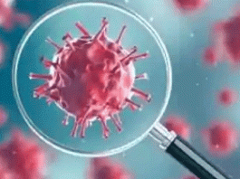 अगस्त तक रोहतक में होंगे एक लाख संक्रमित! One lakh will be infected in Rohtak by August