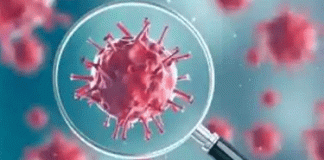 One lakh will be infected in Rohtak by August