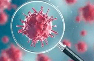 One lakh will be infected in Rohtak by August